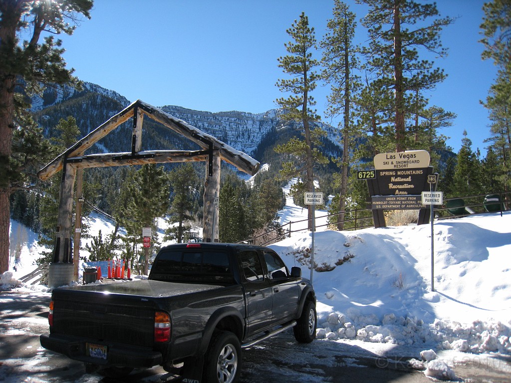Las Vegas 2010 - Mt Charleston 0411.JPG - The 2010 Las Vegas Fire - Ice and Sweat Tour. Half Marathon, Red Rock Canyon, Casinos, Valley of Fire.... and buffets!